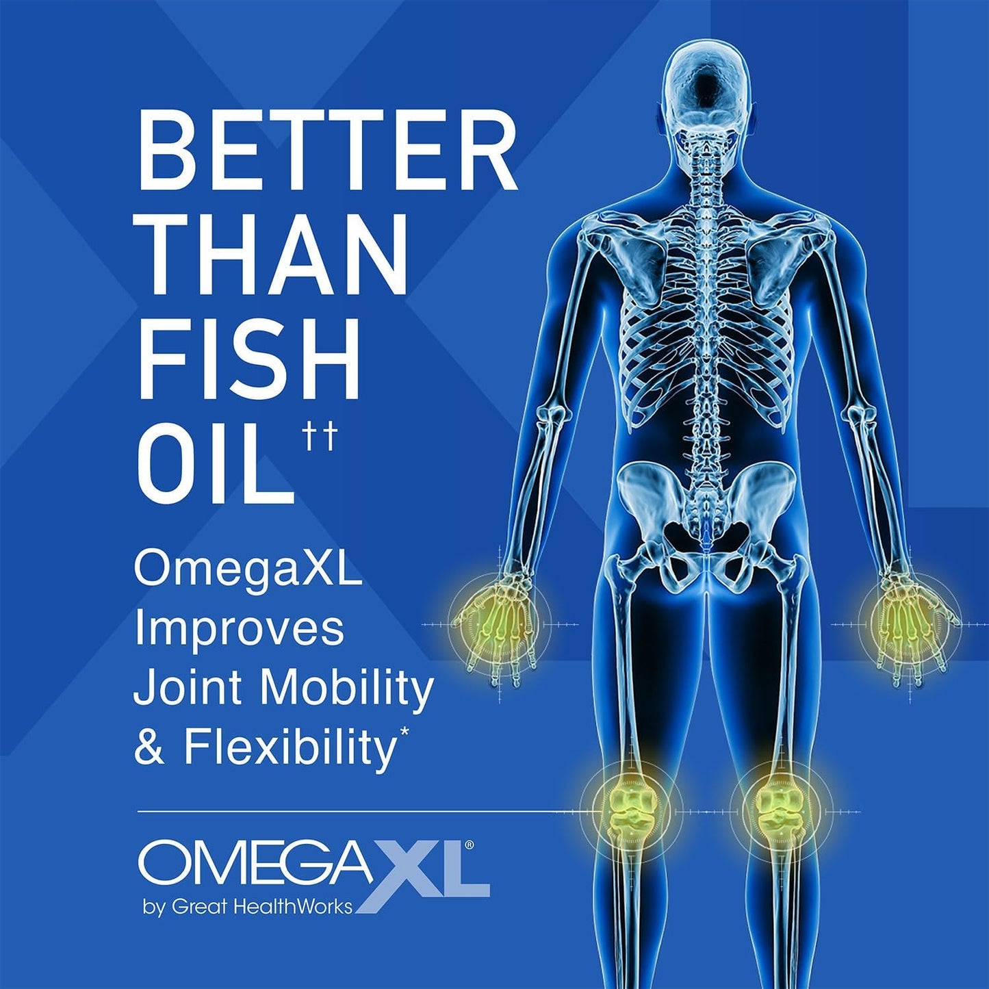 OmegaXL Joint Support – 300 Softgels (Green-Lipped Mussel Oil)