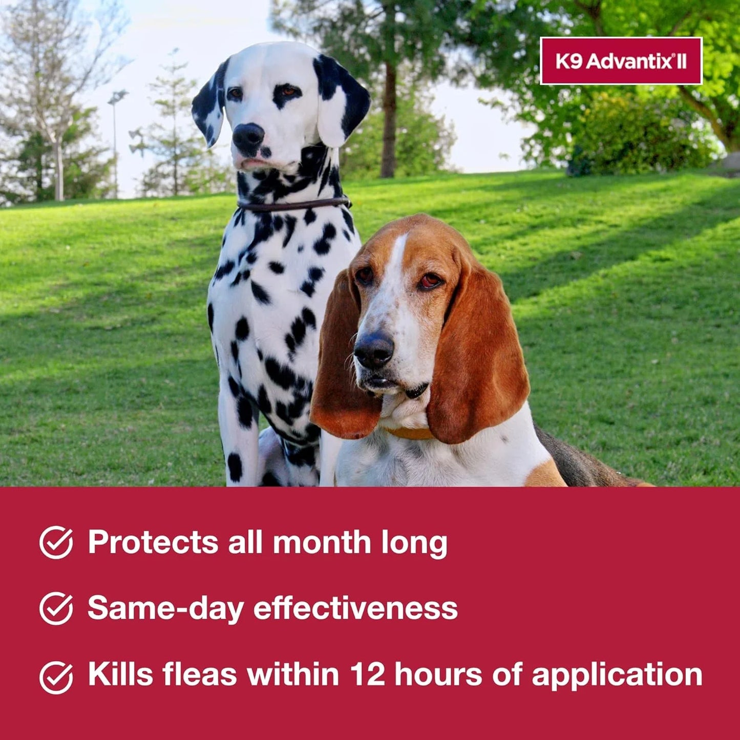 K9 Advantix II Large Dog Flea, Tick & Mosquito Treatment โ Vet Recommended | Dogs 21-55 lbs | 6-Month Supply