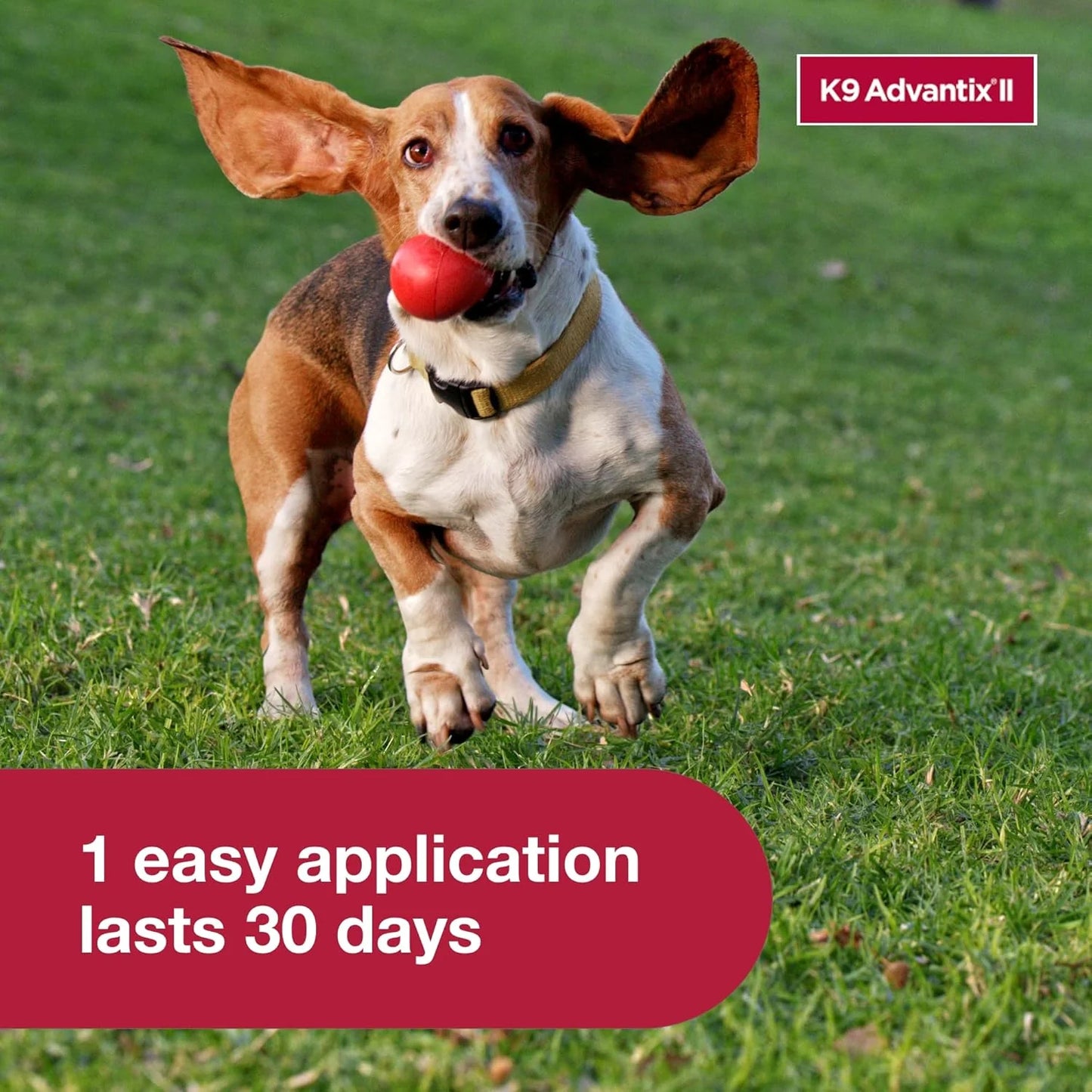 K9 Advantix II Medium Dog Flea, Tick & Mosquito Treatment – Vet Recommended | Dogs 11-20 lbs | 4-Month Supply
