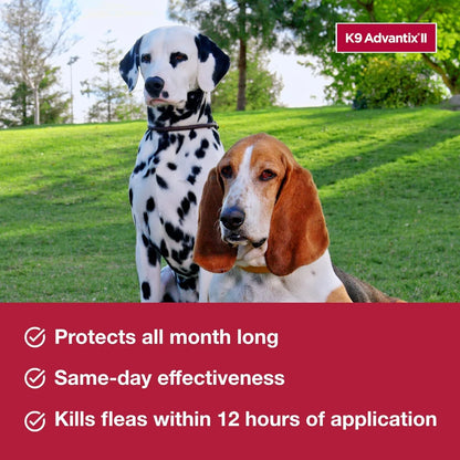K9 Advantix II Large Dog Flea, Tick & Mosquito Treatment – Vet Recommended | Dogs 21-55 lbs | 6-Month Supply
