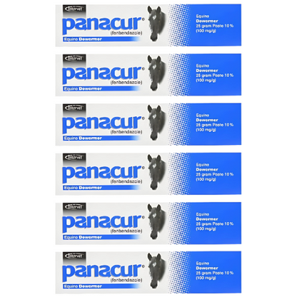 PANACUR 10% Horse Dewormer Paste (Pack of 6) – 100mg Each