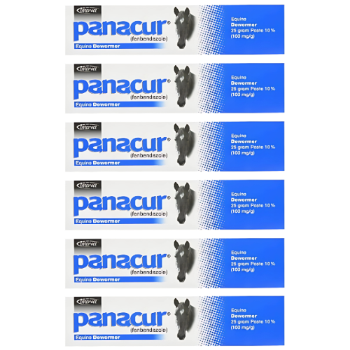 PANACUR 10% Horse Dewormer Paste (Pack of 6) – 100mg Each